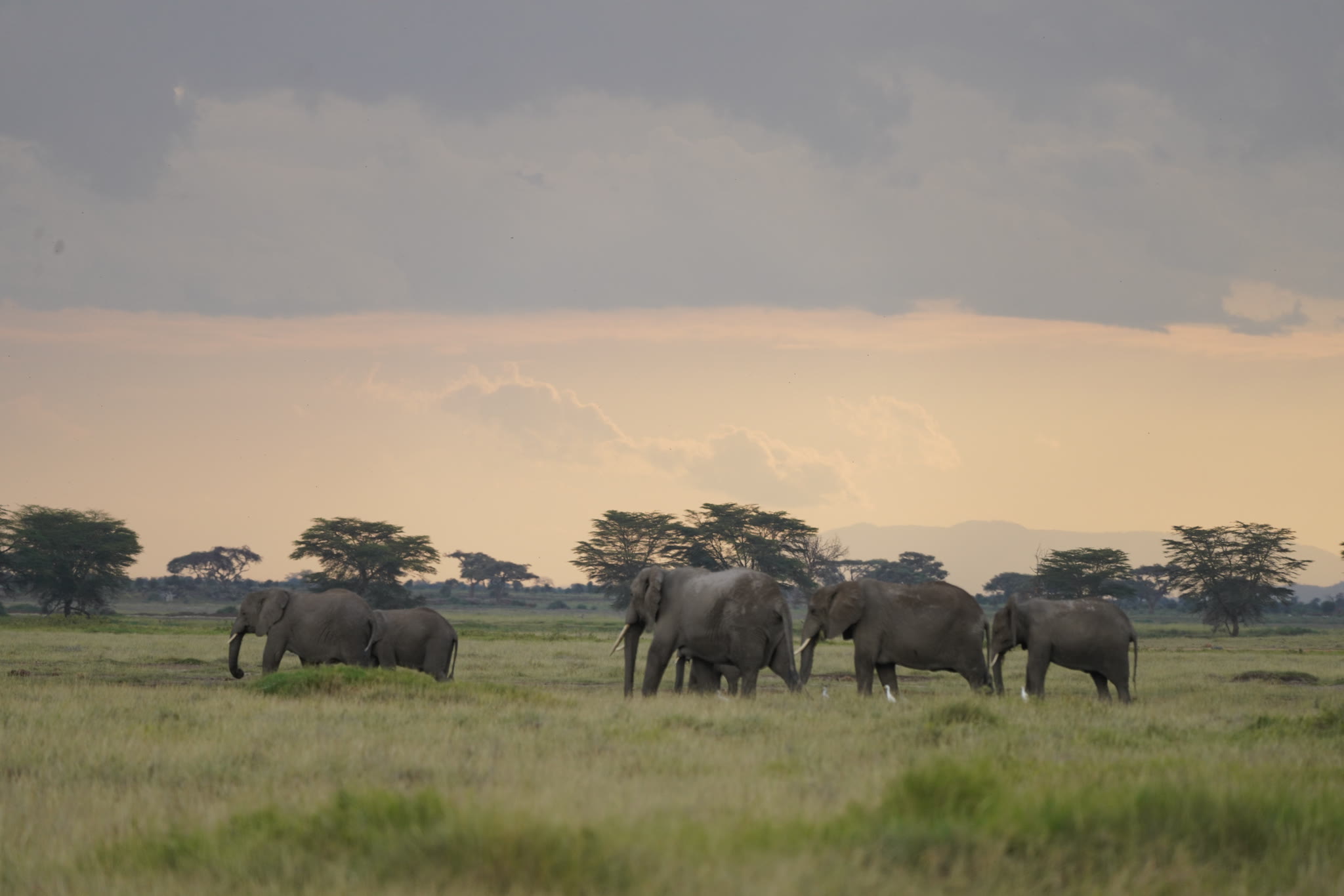 Olgulului Buffer Conservancies
